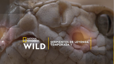 Imagen de Serpientes de leyenda  - 2