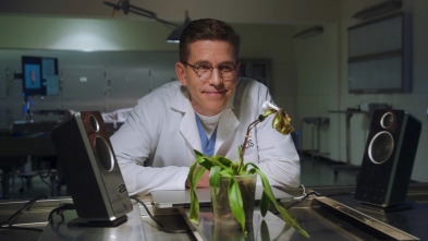 Imagen de NCIS: Naval... (T20): Ep.15 Navy: Investigación Criminal (20): Ep 2015 - 1