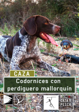 Codornices con perdiguero mallorquín