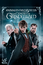 (LSE) - Animales Fantásticos: Los crímenes de Grindelwald