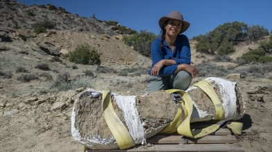 Secretos de los dinosaurios jurásicos