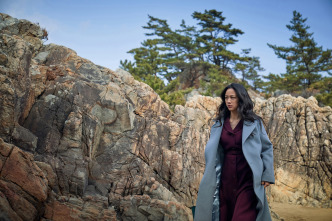 Imagen de Decision to Leave - 11