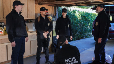 Imagen de NCIS: Naval... (T20): Ep.17 Navy: Investigación Criminal (20): Ep 2017 - 1