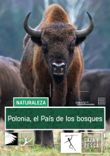 Imagen de Polonia. El país de los bosques - 1
