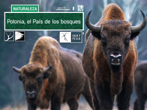 Imagen de Polonia. El país de los bosques - 2