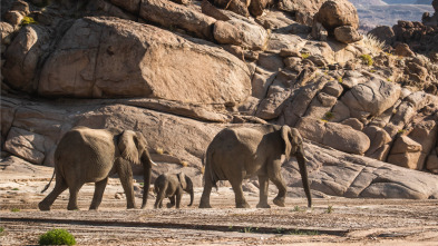Imagen de Los secretos de los...: El desierto - 1