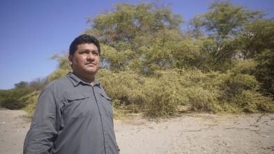 El misterio del desierto de Nazca