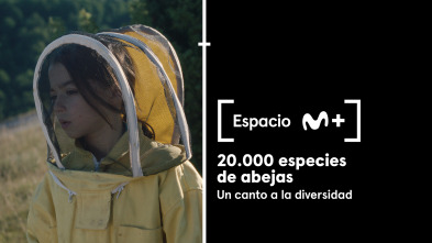 Espacio M+ (T1): 20.000 especies de abejas