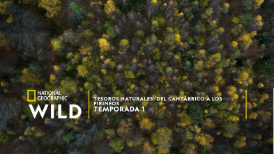 Imagen de Tesoros Naturales: Del Cantábrico a los Pirineos  - 7