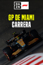 GP de Miami (Miami): GP de Miami: Carrera