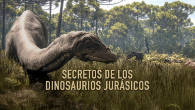 Secretos de los dinosaurios jurásicos