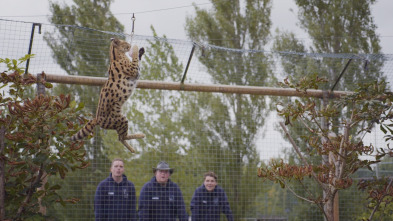 One Zoo Three: Día de deporte