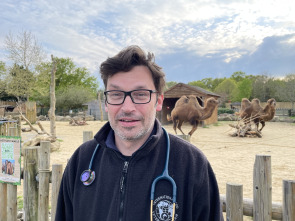 One Zoo Three: Visita al veterinario