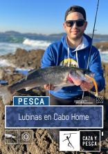 Lubinas en Cabo Home
