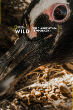 Wild Argentina 