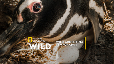 Wild Argentina 