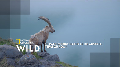 Imagen de El patrimonio natural de Austria  - 2