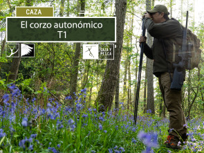 Imagen de El Corzo Autonómico, un viaje por España (T1) - 2