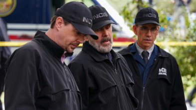 Imagen de NCIS: Naval... (T20): Ep.20 Segunda opinión - 5