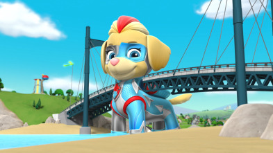 Imagen de La patrulla... (T6): La Patrulla salva a las crías de avestruz. - 1