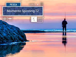 Momento Spinning (T2)