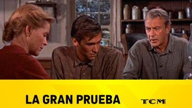 Imagen de La gran prueba - 2