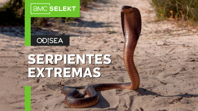 Serpientes extremas