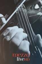 Imagen de Renaud Capuçon - un violín sin fronteras - 1