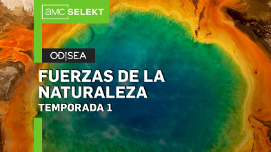 Fuerzas de la naturaleza
