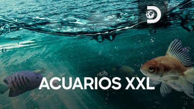 Acuarios XXL (T7): El acuario encantado de Alyssa