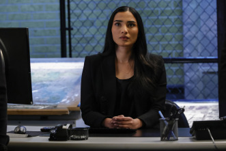 The Blacklist (T10): Ep.18 Ajenjo (nº 182)