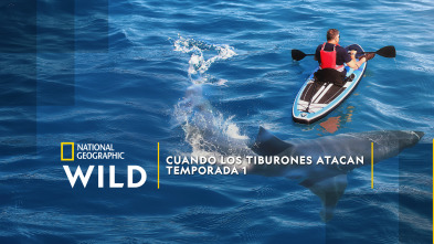 Imagen de Cuando los tiburones...: Sharktober - 2