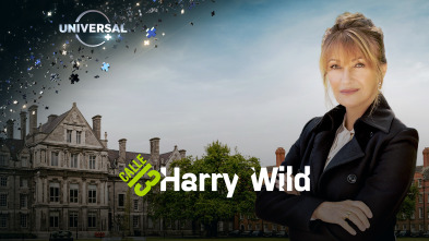 Harry Wild (T1)