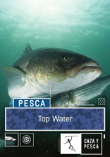 Imagen de Top water (T1) - 1