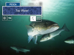 Imagen de Top water (T1) - 2