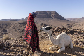 Zodi & Tehu, aventuras en el desierto