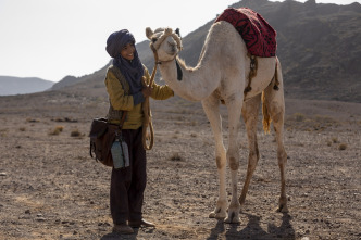Zodi & Tehu, aventuras en el desierto