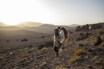 Zodi & Tehu, aventuras en el desierto