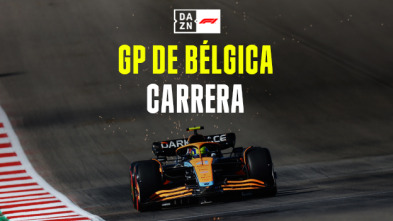 GP de Bélgica: Carrera