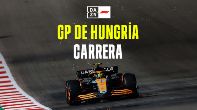 GP de Hungría...: GP de Hungría: Carrera