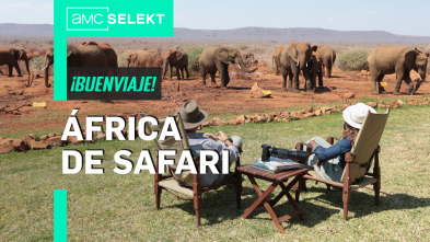 África de safari - Un safari casual