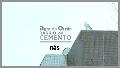 Imagen de Agra do Orzán, barrio de cemento - 2