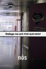 Imagen de Galego na Universidade: Por que non? - 1