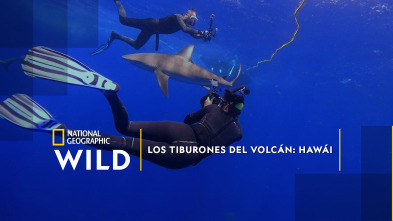 Imagen de Los tiburones del volcán: Hawái - 2