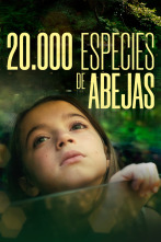 (LSE) - 20.000 especies de abejas