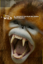 Imagen de El imperio salvaje de China  - 1