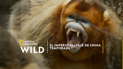 Imagen de El imperio salvaje de China  - 2