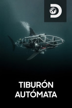 Imagen de El tiburón autómata - 1