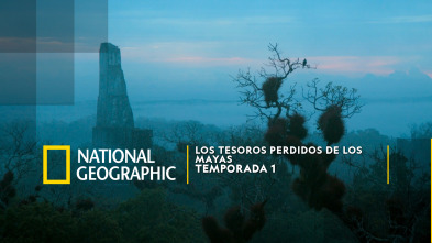 Imagen de Los tesoros perdidos de los mayas  - 2