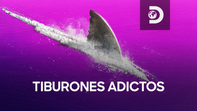 Imagen de Tiburones adictos - 2